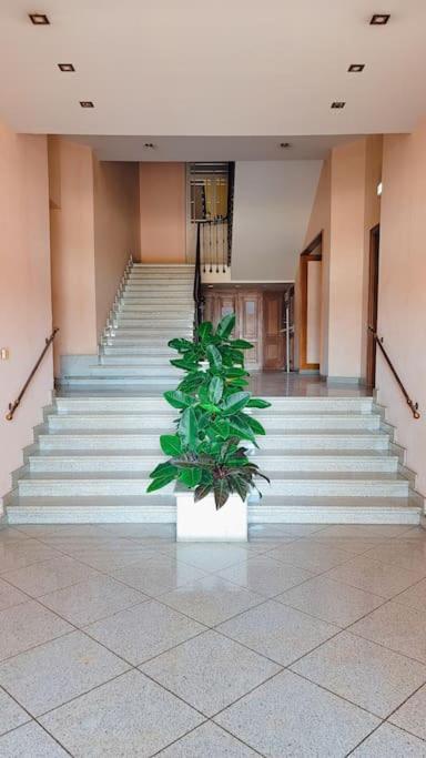 Blu Apartment In Historical Hunbury Бордигера Экстерьер фото